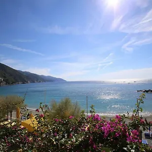 Viviani Raffaella Monterosso al Mare